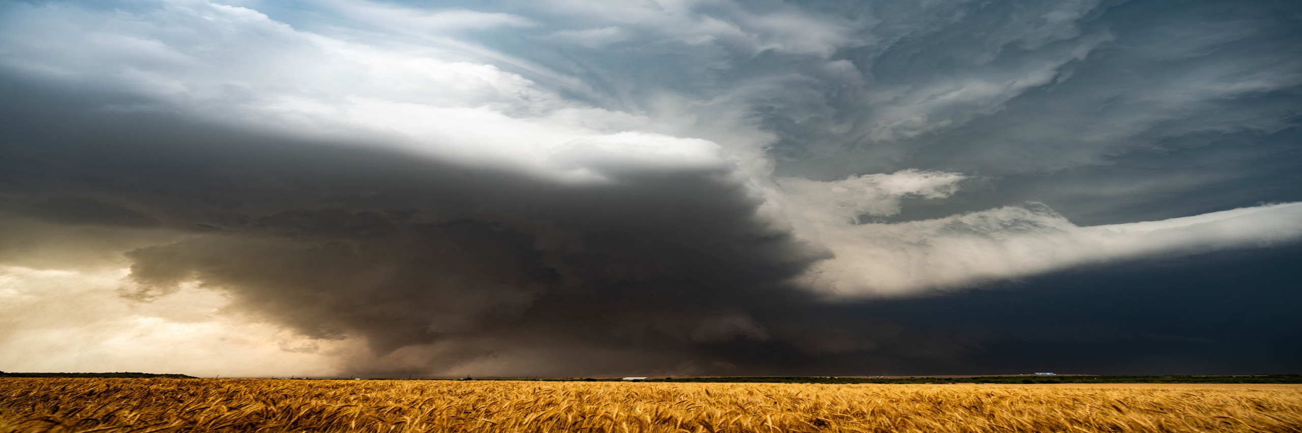 A supercell thunderstorm towering over a golden Oklahoma wheat field, sunlight breaking through on the left.